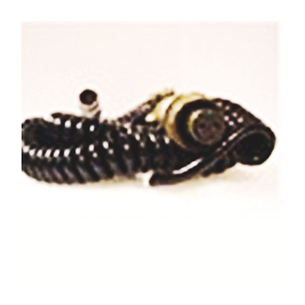 Allen-Bradley Cable EK-48626 EK-48626