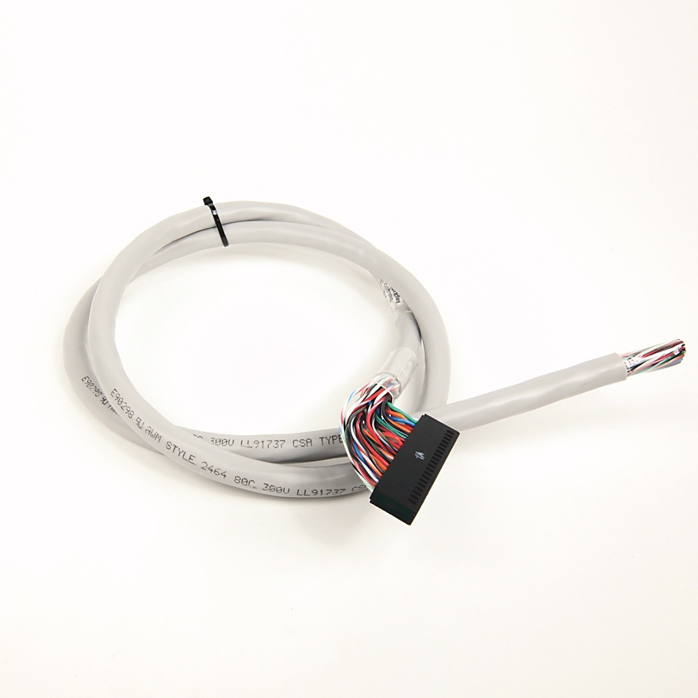 Allen-Bradley I/O Ready Digital Cable 1492-CAB010P62 1492-CAB010P62